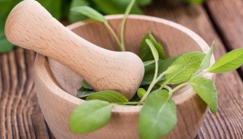 Ibogaine detox